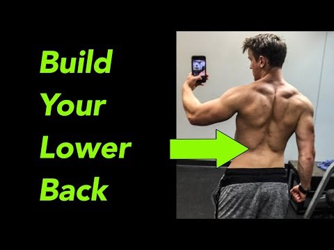 Top 5 Exercises for Lower Back (At Gym AND HOME)