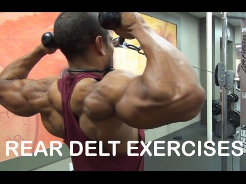Rear Delt Exercises-3 Killer Exercises