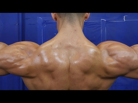 5 Exercises for HUGE Shoulder Gains