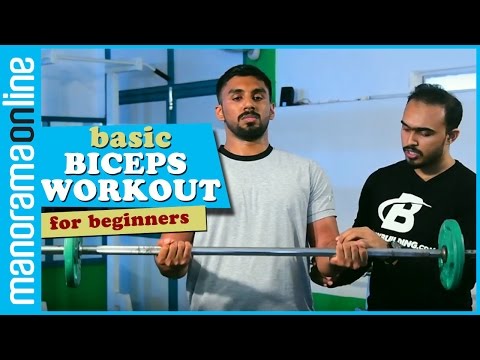 Biceps workouts | Basic exercises for beginners | Fitness Tips | Manorama Online