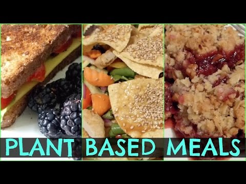What I Eat In A Day #2 (PLANT BASED RECIPES) + Fitness Routine
