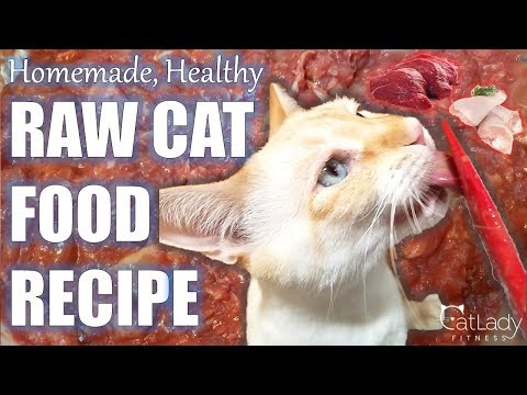 How to Make RAW CAT FOOD (Chicken & Beef Version) – Homemade Recipe / Cat Lady Fitness