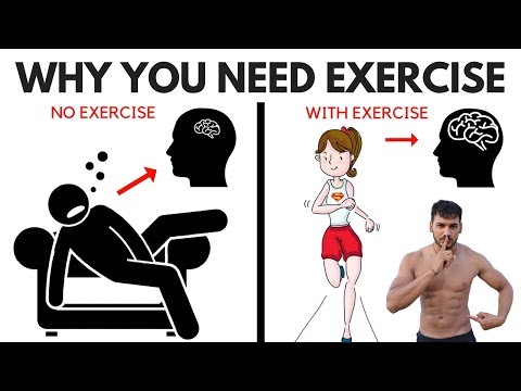 10 Benefits Of Exercise On The Brain And Body – Why You Need Exercise