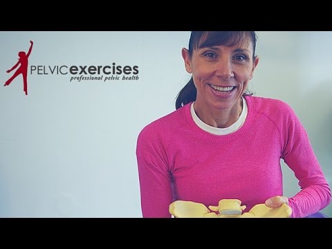 Physical Therapist Pelvic Floor Exercises for Beginners ...