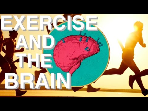 WHY Exercise is so Underrated (Brain Power & Movement Link)