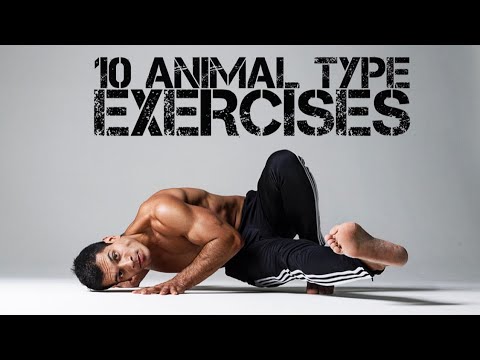10 Animal Movement Exercises You can Practice #movement #mobility #calisthenics