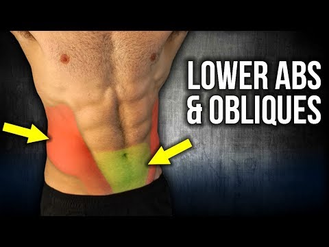 4min Home LOWER ABS and OBLIQUES Workouts (NO EQUIPMENT!!)