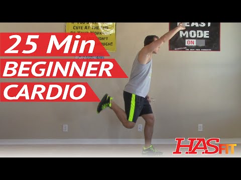 25 Min Beginner Cardio Workout at Home – Low Impact Cardio Exercises – Easy Aerobic Workouts