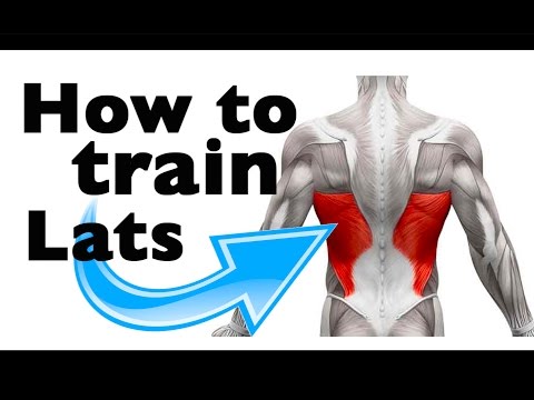 How to: Train the Latissimus Dorsi (11 gym exercises)