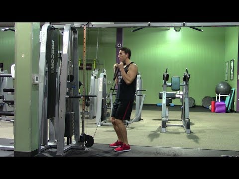 Beginner Arms Workout in the Gym – HASfit Easy Arm Exercises – Biceps Triceps Workouts Arm Exercise