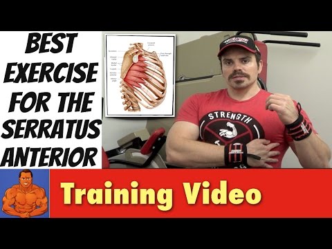 Best Exercises for the Serratus Anterior