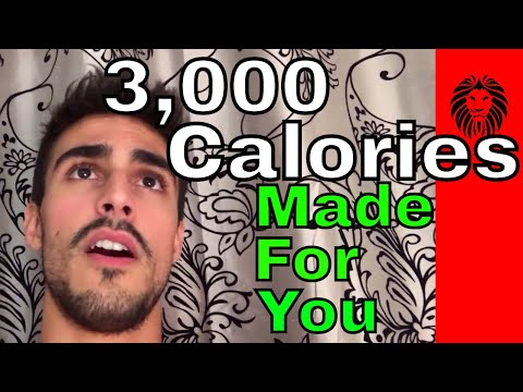 My 3,000 Calorie Meal Plan & The Rotation Diet