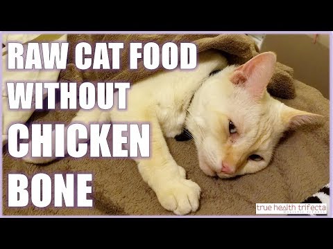 How to make Raw Cat Food WITHOUT Bones! – Chicken Bone Substitutions / Cat Lady Fitness