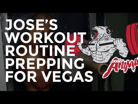JOSE THE ANIMAL – WORKOUT ROUTINE PREPPING FOR VEGAS FITNESS COMPETITION