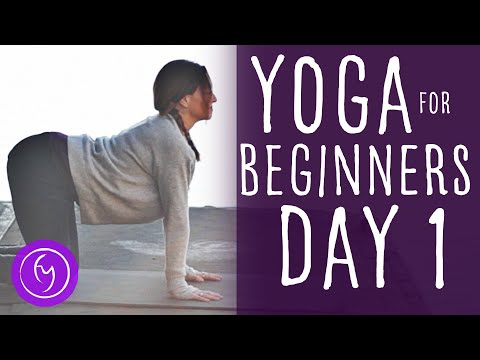 Yoga For Beginners (15 minute) 30 Day Challenge Day 1 | Fightmaster Yoga Videos