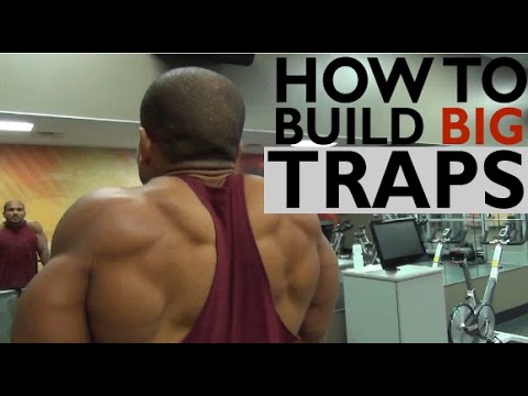 HOW TO BUILD BIG TRAPS: 3 MUST DO EXERCISES