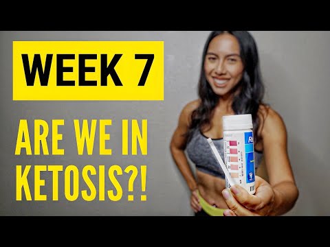 WEEK 7 – TESTING KETONES (KETO DIET COMPETITION)