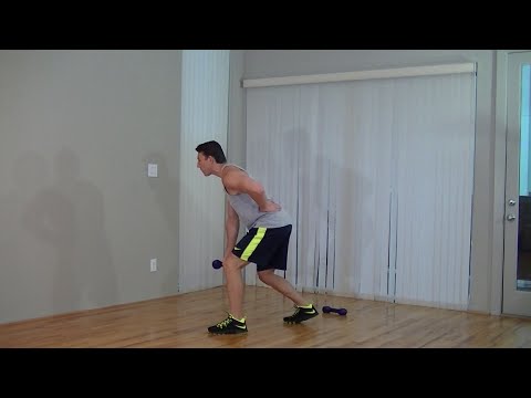 30 Min Beginner Workout Routine – HASfit Beginners Strength Training, Cardio, Abs – Easy Exercises