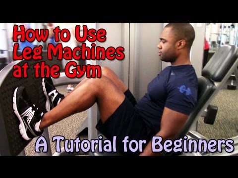 How to Use Leg Machines at the Gym (A Tutorial for Beginners)