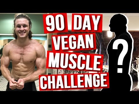 Setting Up Diet, Gym Routine & Pre Workout | EPISODE 1 (VEGAN MUSCLE CHALLENGE)