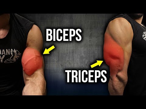 5 KILLER Biceps & Triceps Exercises (FULL BIG ARMS WORKOUT!!)