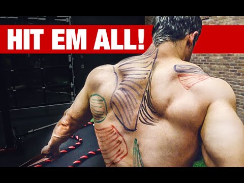 Best Back Workout Video Ever (HIT EVERY MUSCLE!!)