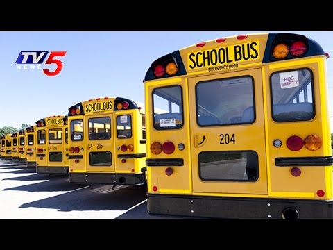 RTA Focus on School Buses Fitness | Hyderabad | TV5 News