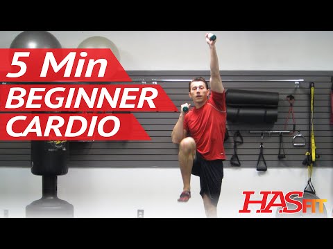5 Minute Easy Workout – Low Impact Cardio Exercises for Beginners – Low Impact Cardio Workout