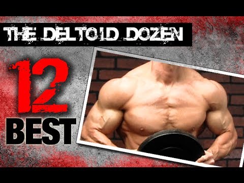 12 Best Shoulder Exercises (THE DELTOID DOZEN!!)