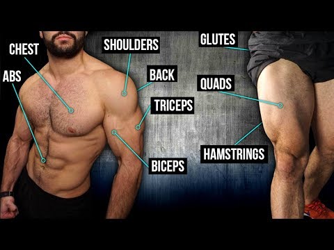 10min Home FULL BODY Workout (DUMBBELLS ONLY!!)