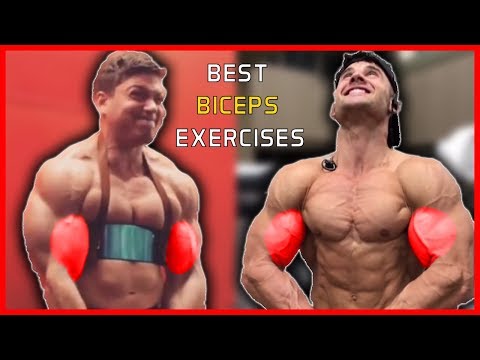 Best Biceps Exercises At The Gym ? Biceps Workout Routine For Men ? Fitness Motivation (2019)