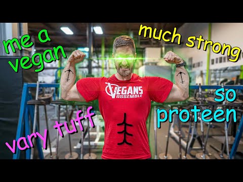 Vegan High Protein Meals | Over 100g In A Day