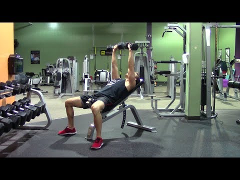 Beginner Weight Training in the Gym – HASfit Strength Training Beginners Resistance Training