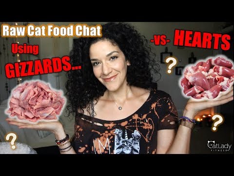 Raw Cat Food Q&A: Can you use CHICKEN GIZZARDS along with (or instead of) HEARTS?! ??