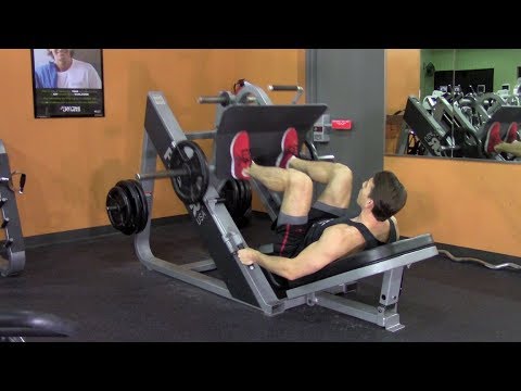 Beginner Weight Training in the Gym – HASfit Beginner Strength Training Easy Workout Exercises