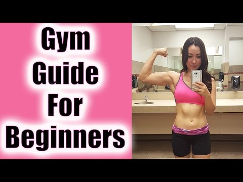 Gym Guide for Beginners | 10 Tips to Start Your Fitness Journey