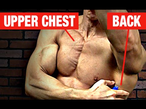 Bodyweight Back and Chest Exercise (NO EQUIPMENT!!)