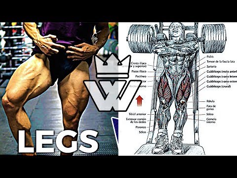 Full LEG Workout | 20 EXERCISES for Strong Legs