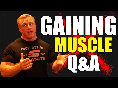 Q&A | Gaining Muscle | Gain Mass on a Budget | Pre Workout Meal