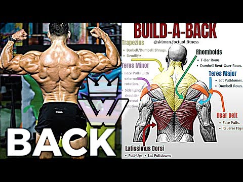 14 EXERCISES TO BUILD A BIG BACK