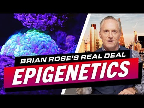 HOW TO USE EPIGENETICS TO MASTER YOUR DIET, HEALTH AND FITNESS – Brian Rose’s Real Deal