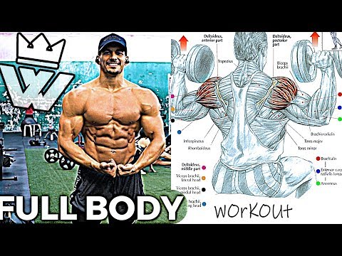 FULL BODY WORKOUT | ABS,Chest,Back,Arms,Shoulders,Legs
