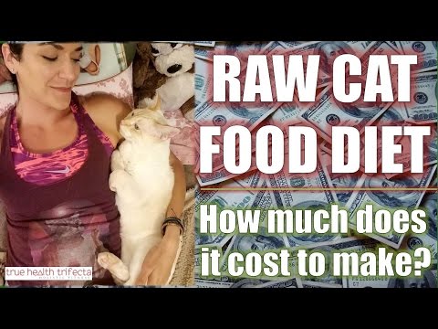 How much does it COST to make Raw Cat Food? – Healthy Cat Tips / Homemade Cat Food