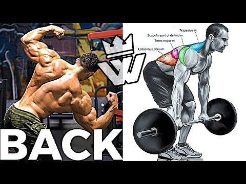 Complete BACK WORKOUT | 16 Effective Exercises