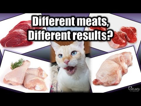 Raw Cat Food: Does the MEAT you use make a difference? (My observations!) – Cat Lady Fitness