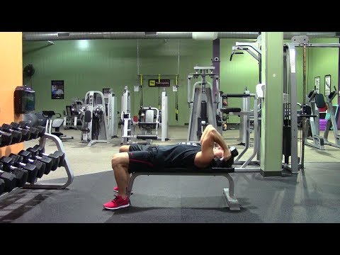 Effective Beginner Arm Workout in the Gym – HASfit Easy Arm Workouts – Easy Arms Exercises Beginners