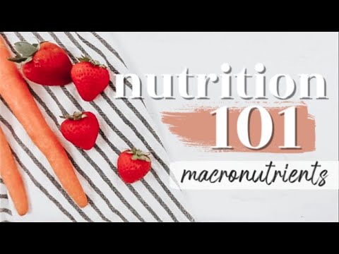 MACRONUTRIENTS: THE BASICS | Nutrition 101 Ep. 1