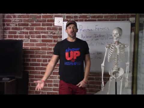 Hip Anatomy | Rectus Femoris | Show Up Fitness