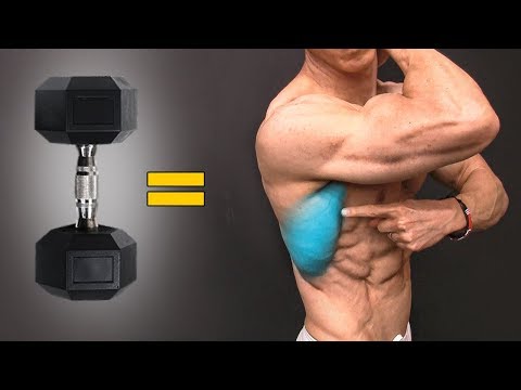 The BEST Dumbbell Exercises – BACK EDITION!