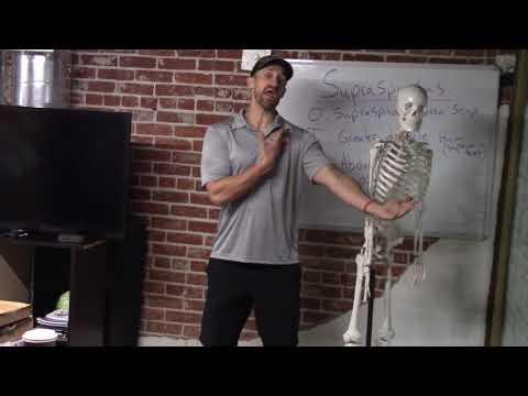 Rotator Cuff Muscle | Supraspinatus SITS | Show Up Fitness